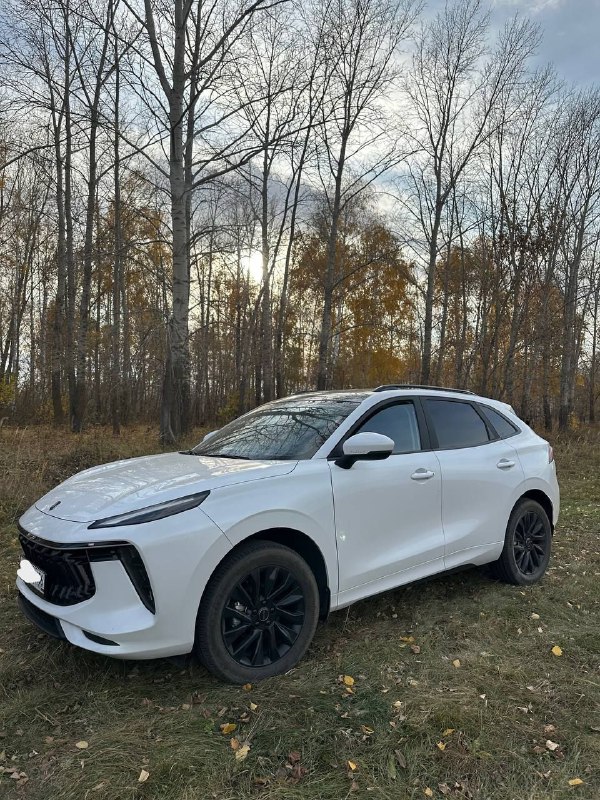 Forthing T5 Evo 1.5 AMT
2021года 39000пробег
2 хозяина

Элегантный мощный,надежный  автомобиль, стои...