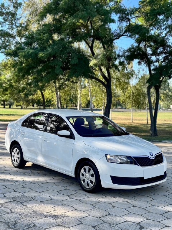 Продам Skoda Rapid 2019 года — один владелец, пробег 190 234 км подтверждён, 1.6 бензин (110 л.с.), ...