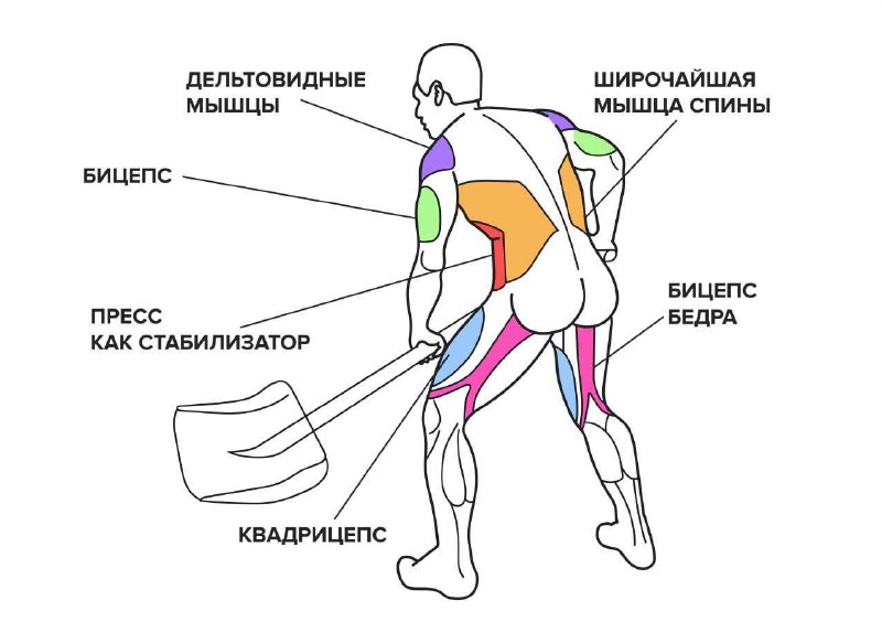 ❄️ Расчистка снега — это полноценная фитнес-тренировка! По данным физиологов, за час такой работы мо...
