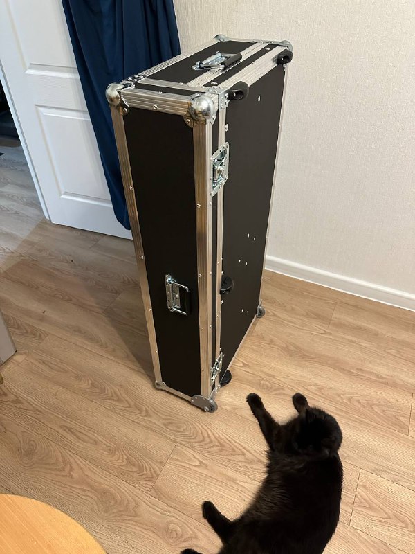 Продам свое детище
(Переезд на ма3 - дорогое удовольствие)
Кейс, минипк Beeink, 2 тача Ilyama 23’, 2...