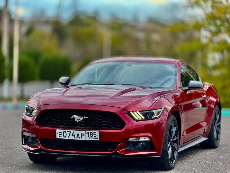 🧨Продам 🧨 🧨Mustang ✅2016 ✅Любое оформление ❗️Состояние идеальное 🔜2.3 бенз 360л.с 🚦Akпп Авто в от...